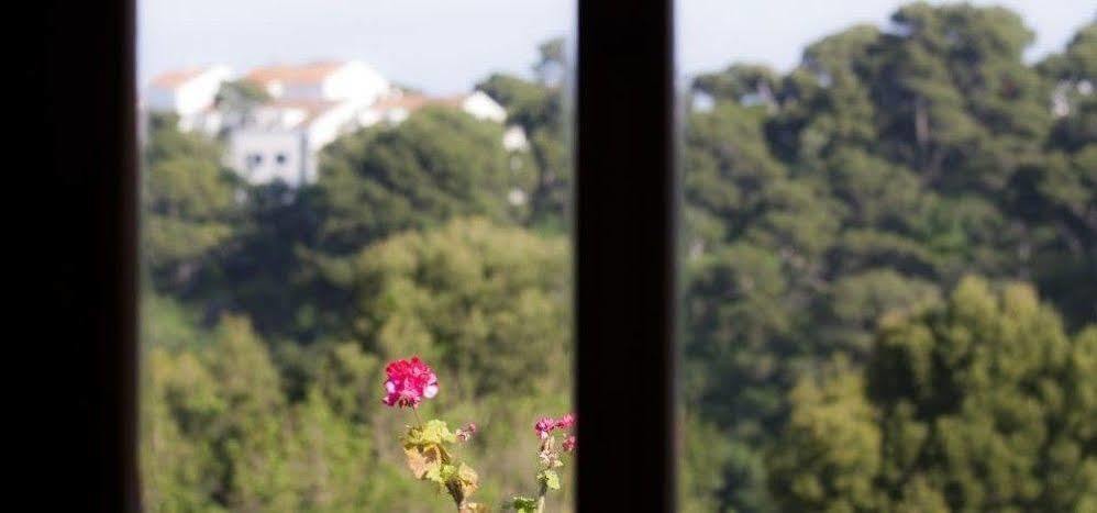 Park Apartamento Dubrovnik